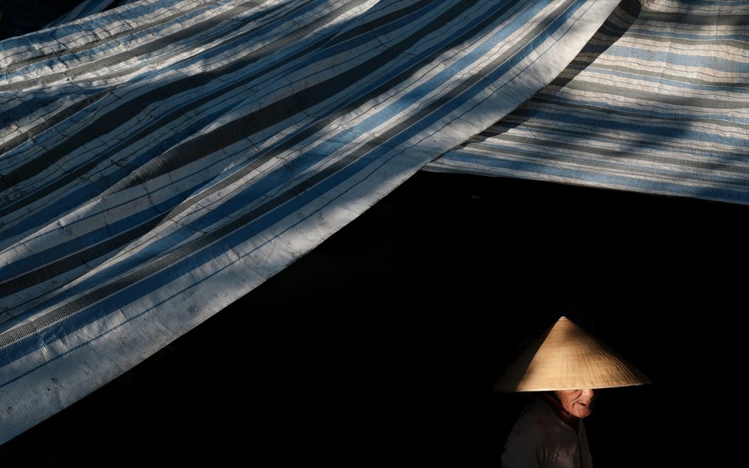 Our Exciting New Partnership with Pics of Asia