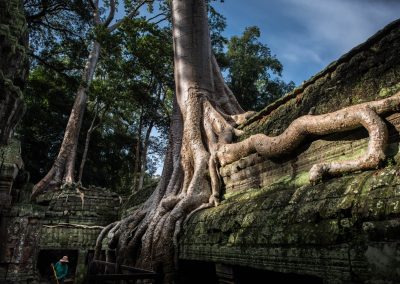Ta Prohm