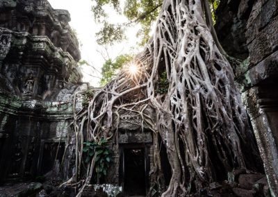 Ta Prohm