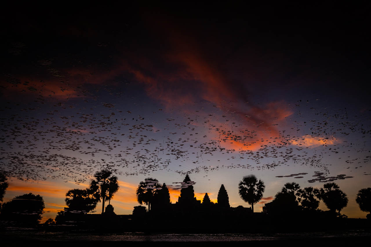 Angkor Wat sunrise 3