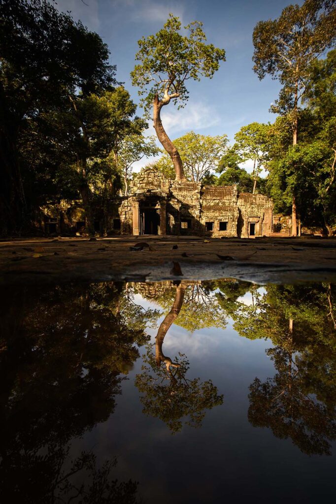 Angkor reflections