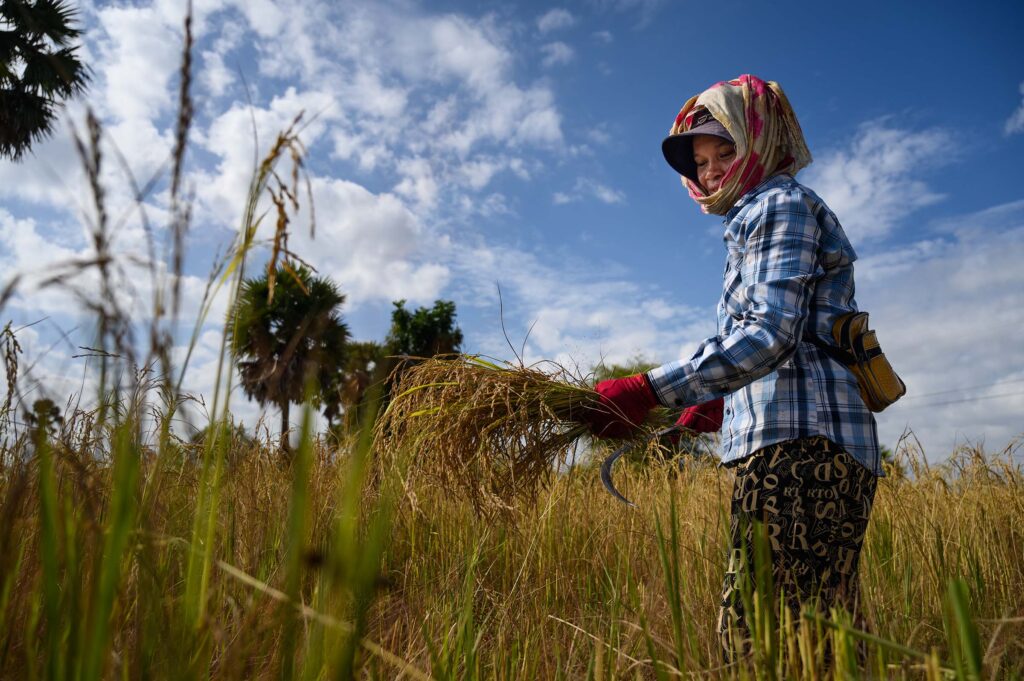 Cambodia Countryside