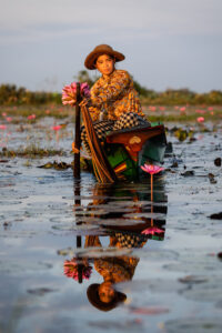 Lily Flowers picking
