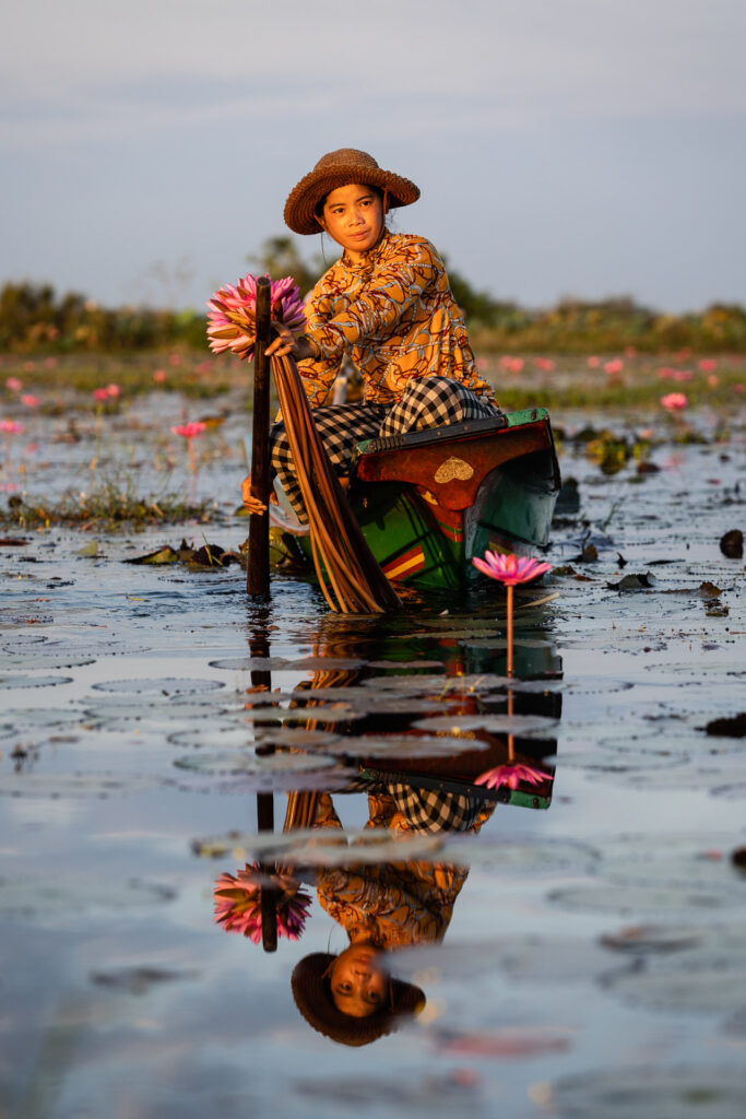 Lily Flowers picking