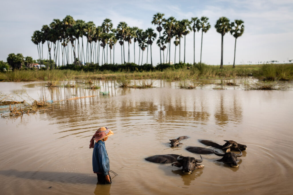 Rural Cambodia
