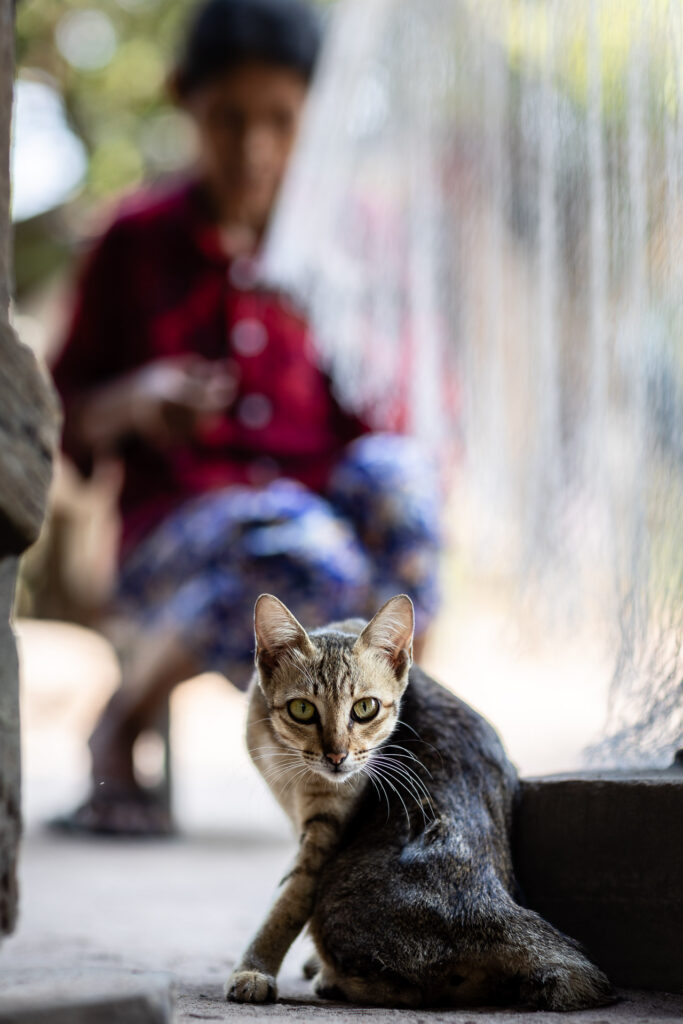 Wild life photography LOL