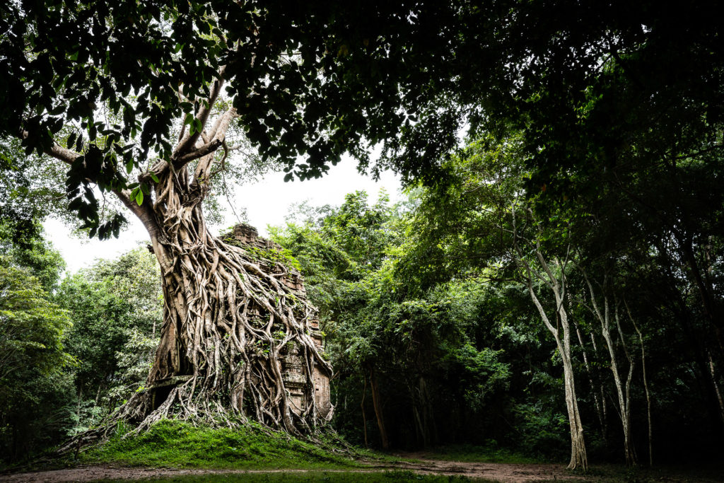 Sambor Prey Kuk Temples