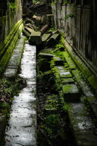 Beng Mealea Temple