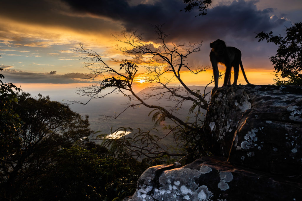 Sunset in Preah Vihear
