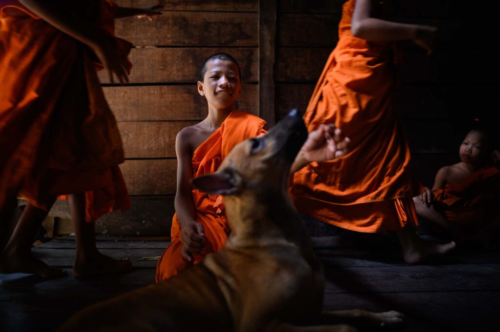 young novice monks, Angkor