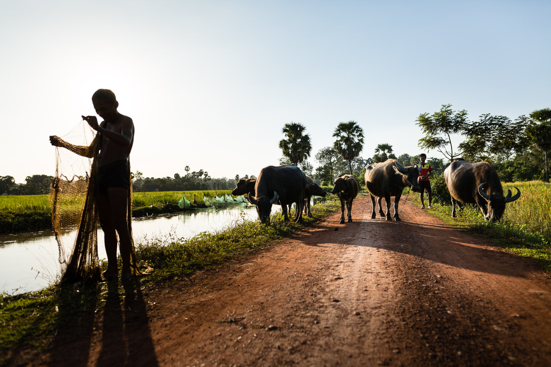 Late afternoon, you can see fishermen and buffaloes with a bit of luck and anticipation