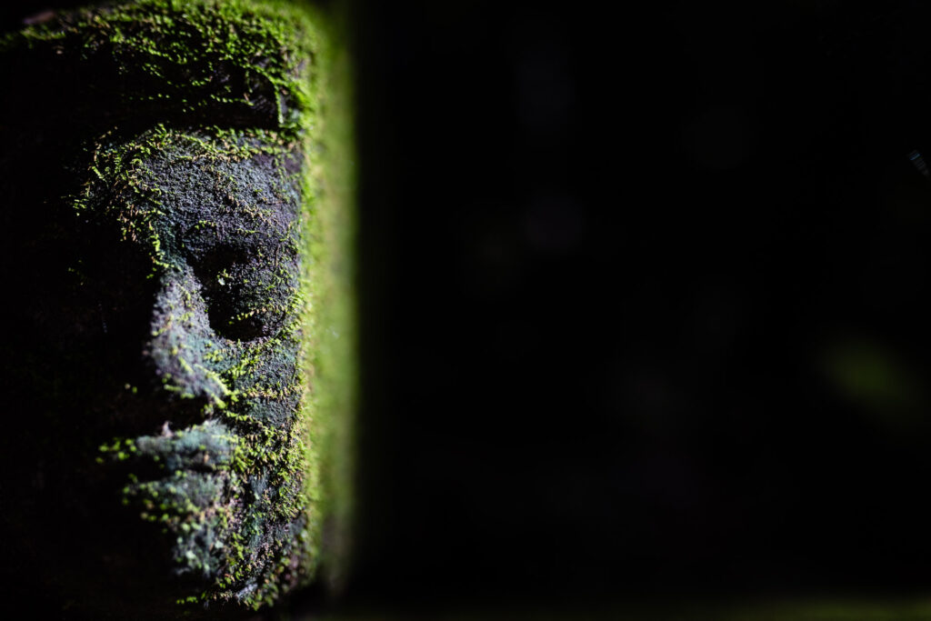 ... direct sunlight! 