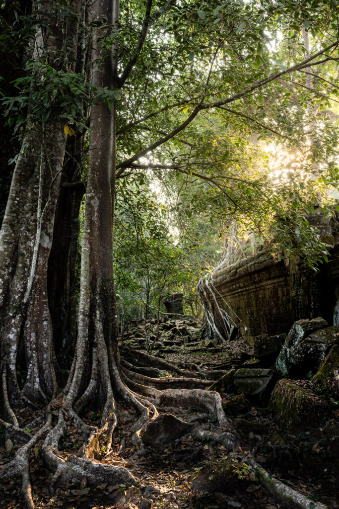 Golden light in Preah Khan Temple